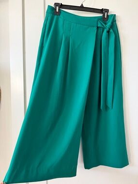 Wide-Leg Culottes Pants in Green Sz 6